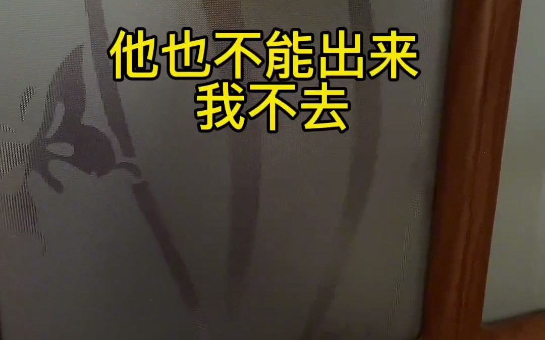 这是一个悲伤的故事