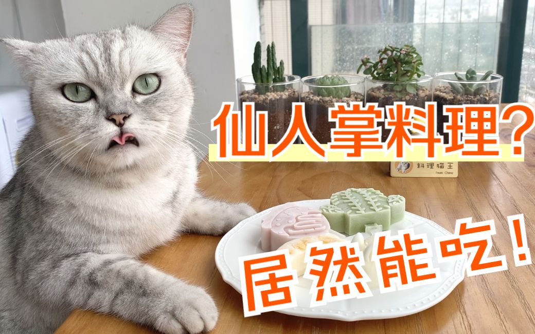 猫王：你们吃过仙人掌吗？