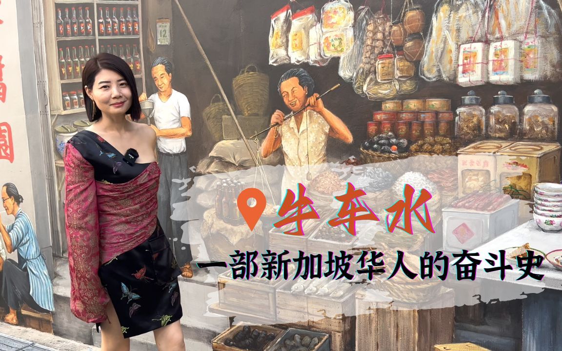 牛车水--一部新加坡华人的奋斗史