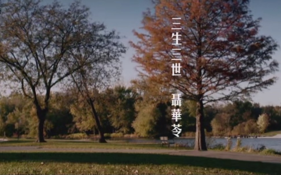 三生三世 聂华苓 One Tree Three Lives