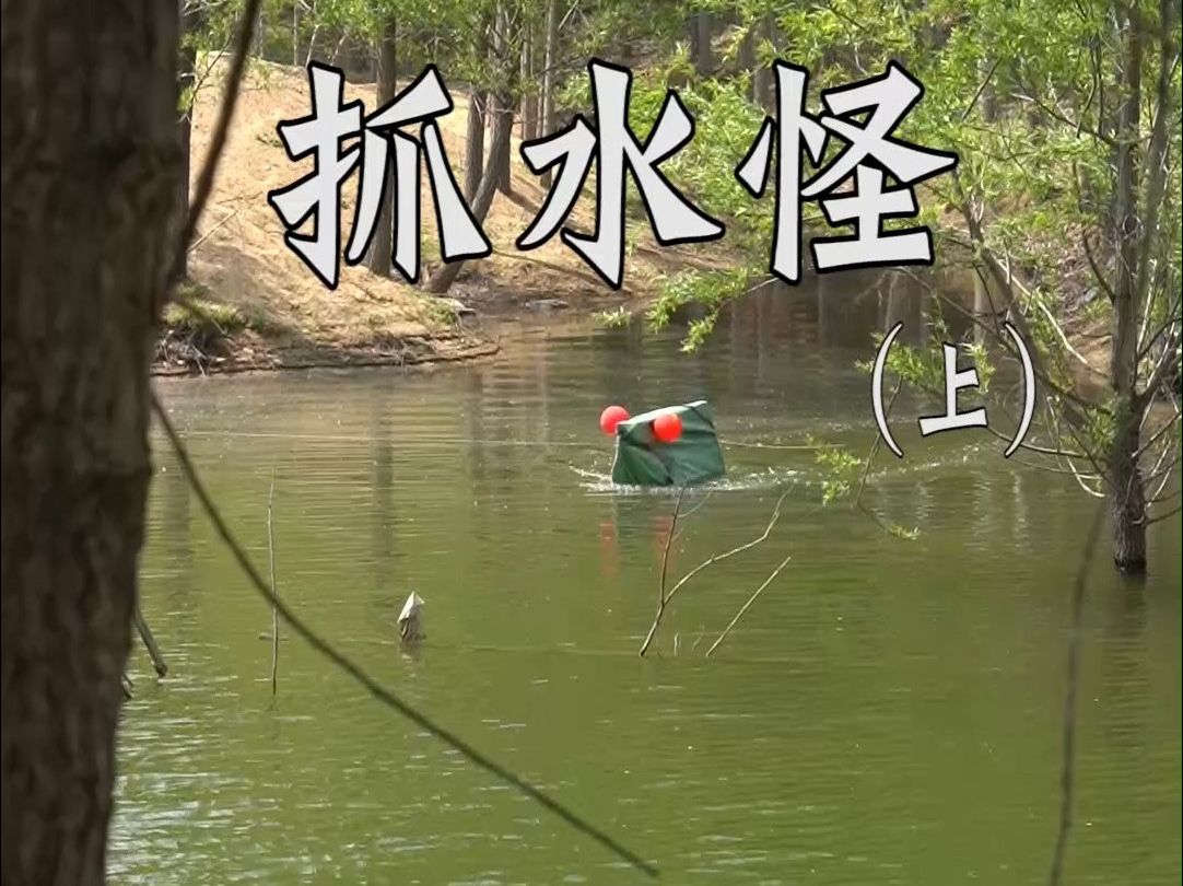 湖里发现一只水怪 抓水怪上
