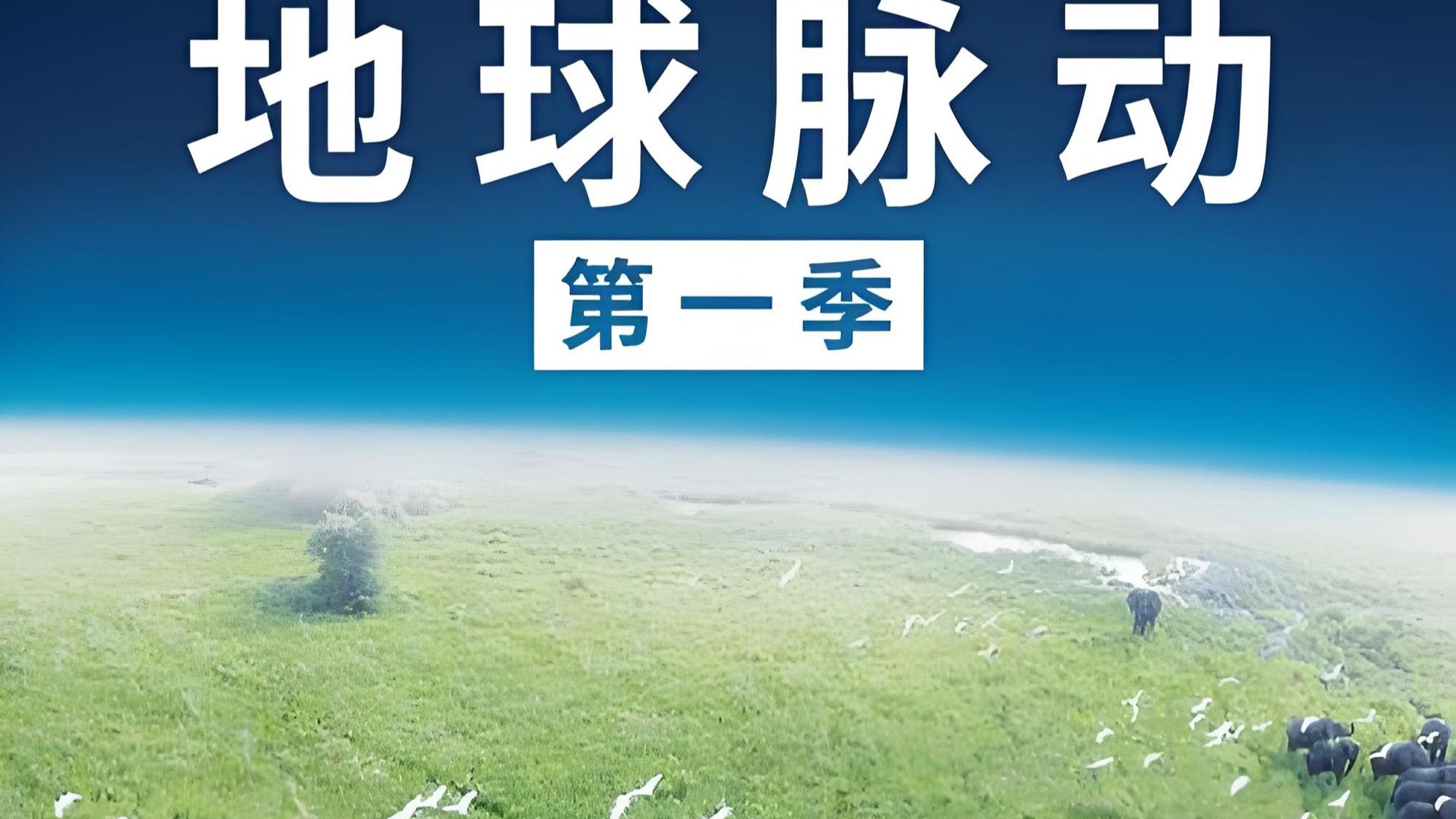 《地球脉动》第一集两极之间