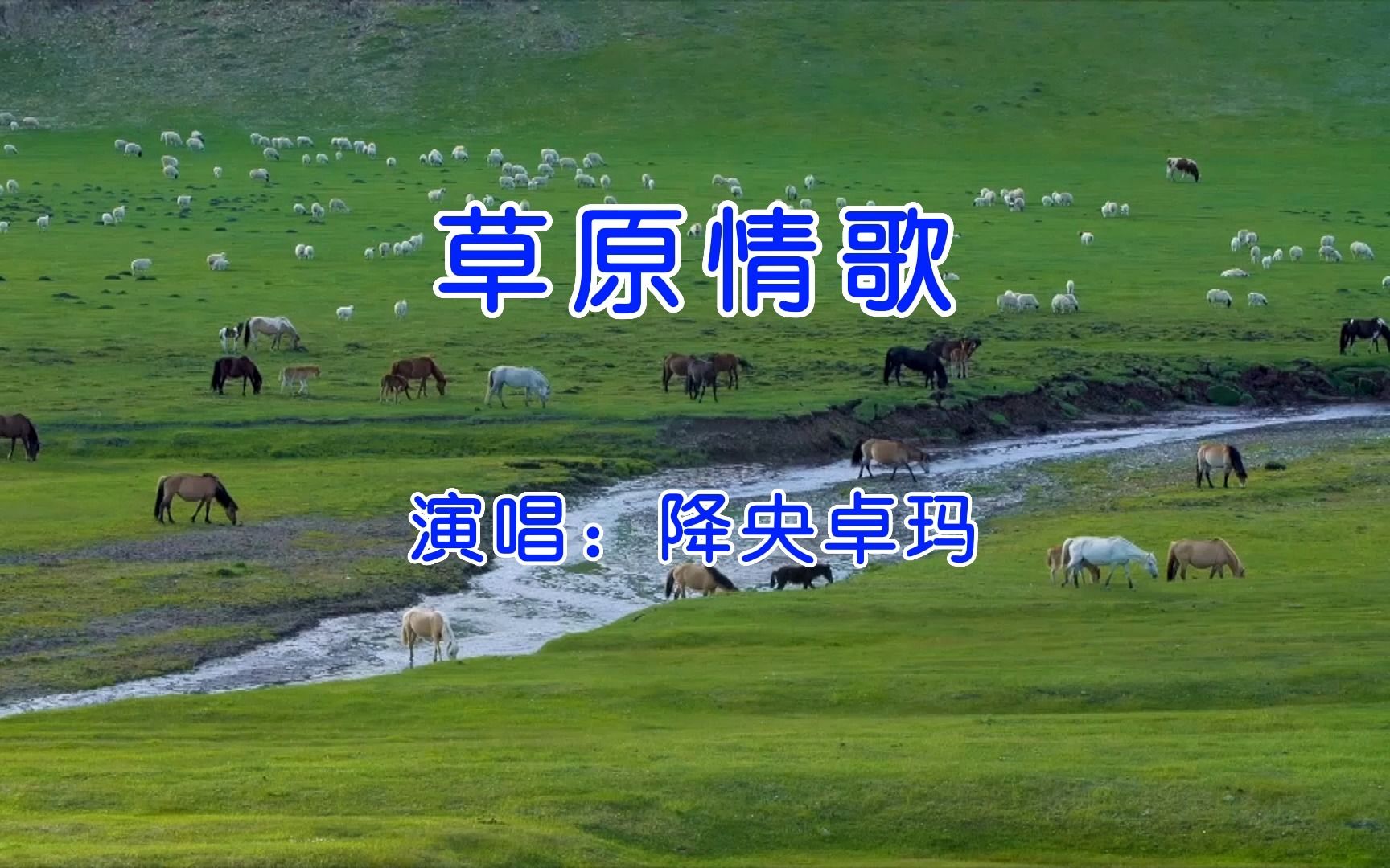 降央卓玛一曲《草原情歌》，歌声婉转，旋律动听，百听不厌！