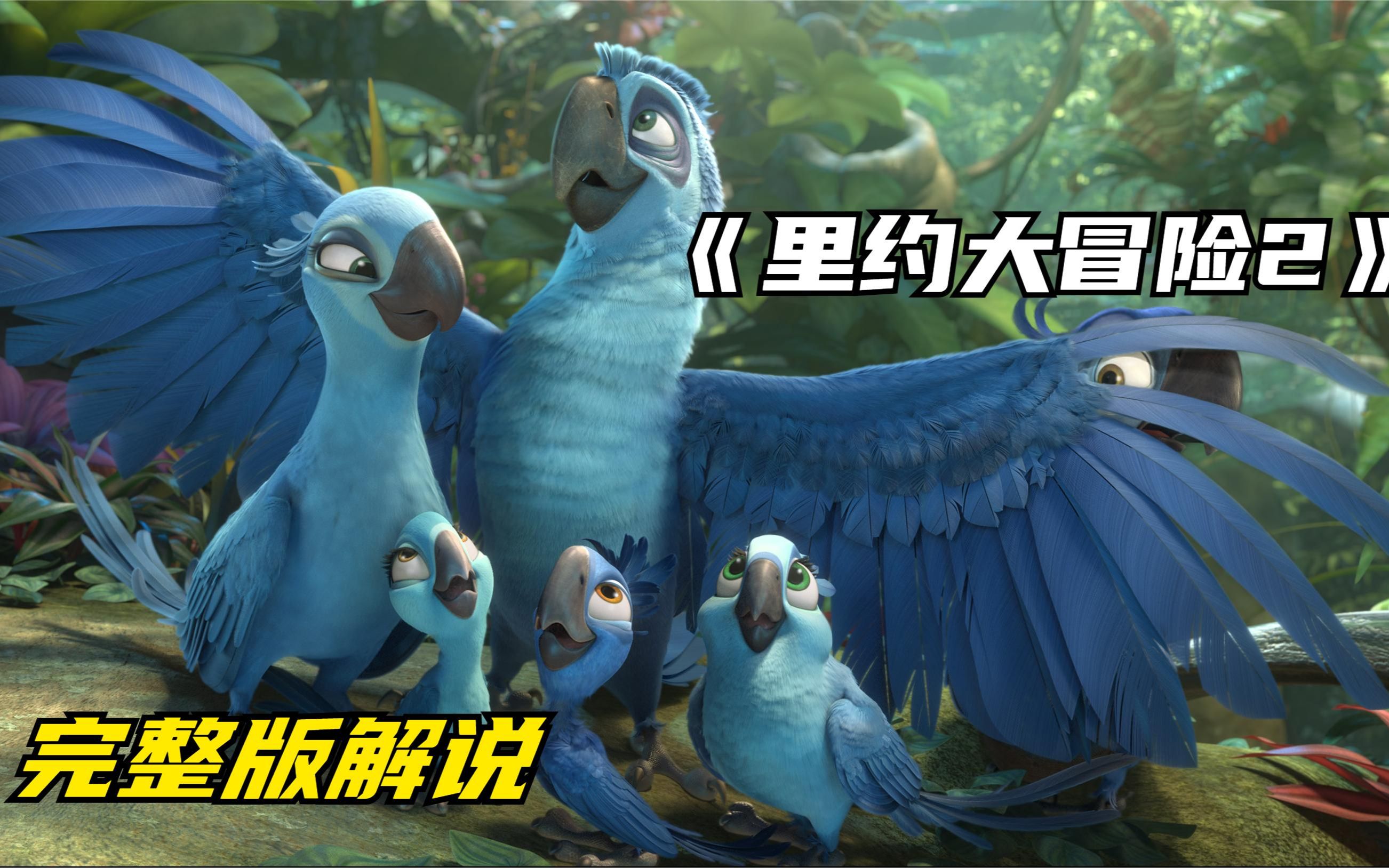 《里约大冒险2》完整版解说，鹦鹉与人类开战，动物全员参战