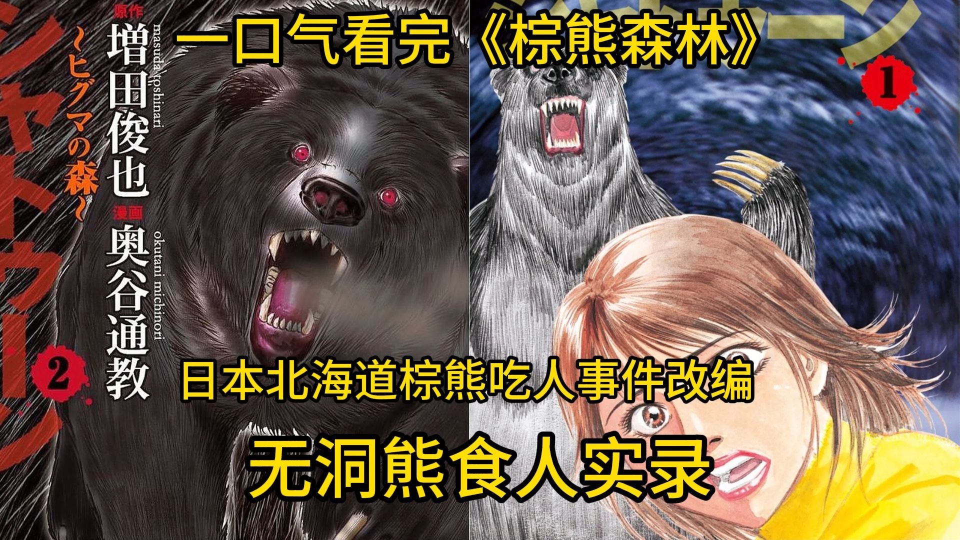 一口气看完《棕熊森林》无洞熊食人实录 日本北海道棕熊吃人事件改编 （1小时精修完整版）