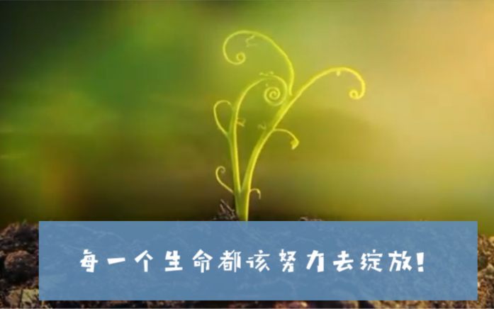每一个生命都该努力去绽放--铁山垅中心小学生命教育#生命 #珍爱生命 #人生 #意义 #阳光 #积极 #学生 #健康 #心理