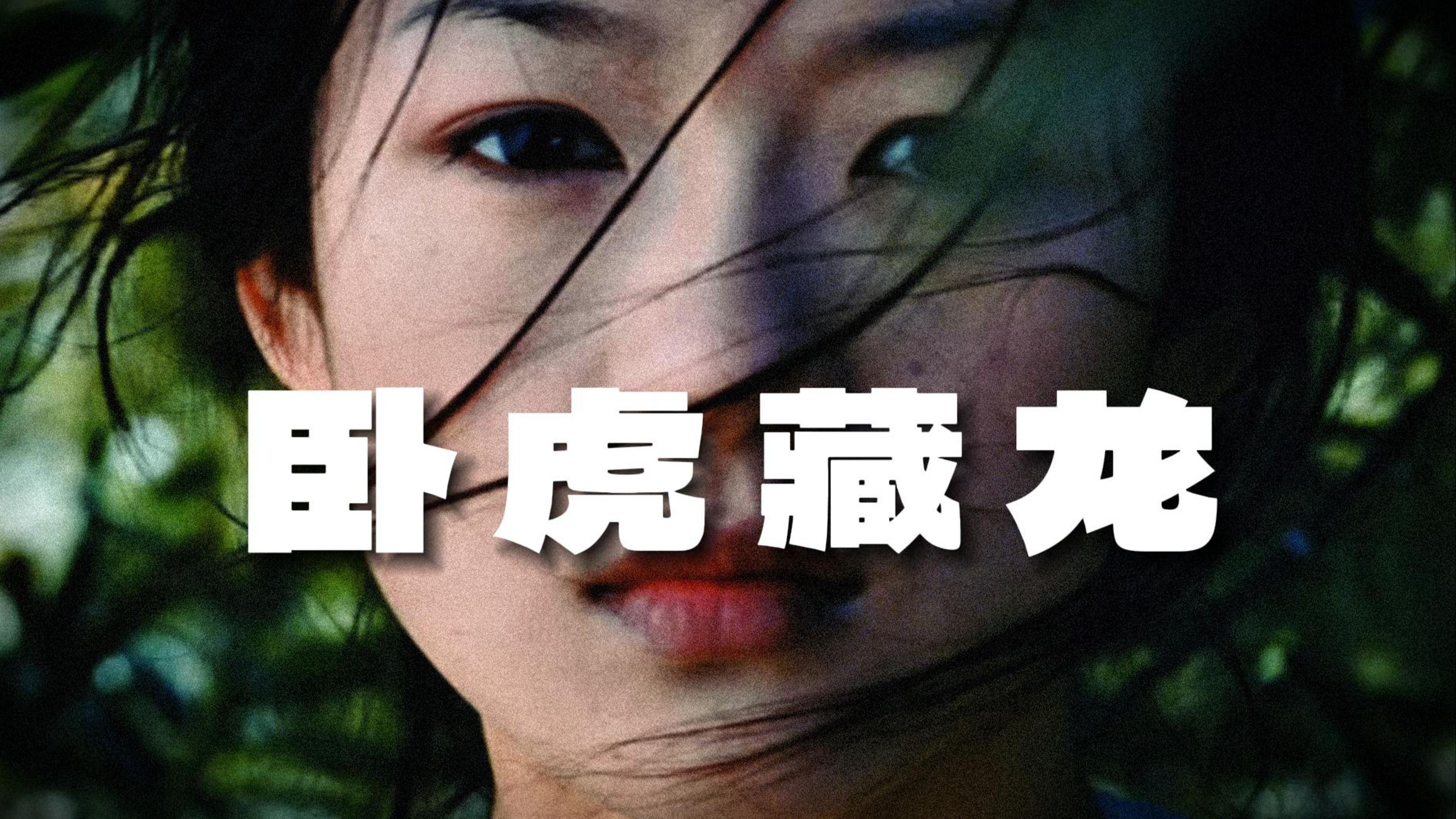 52万人打出8.4高分！华语首部奥斯卡最佳外语片！重温李安经典武侠《卧虎藏龙》