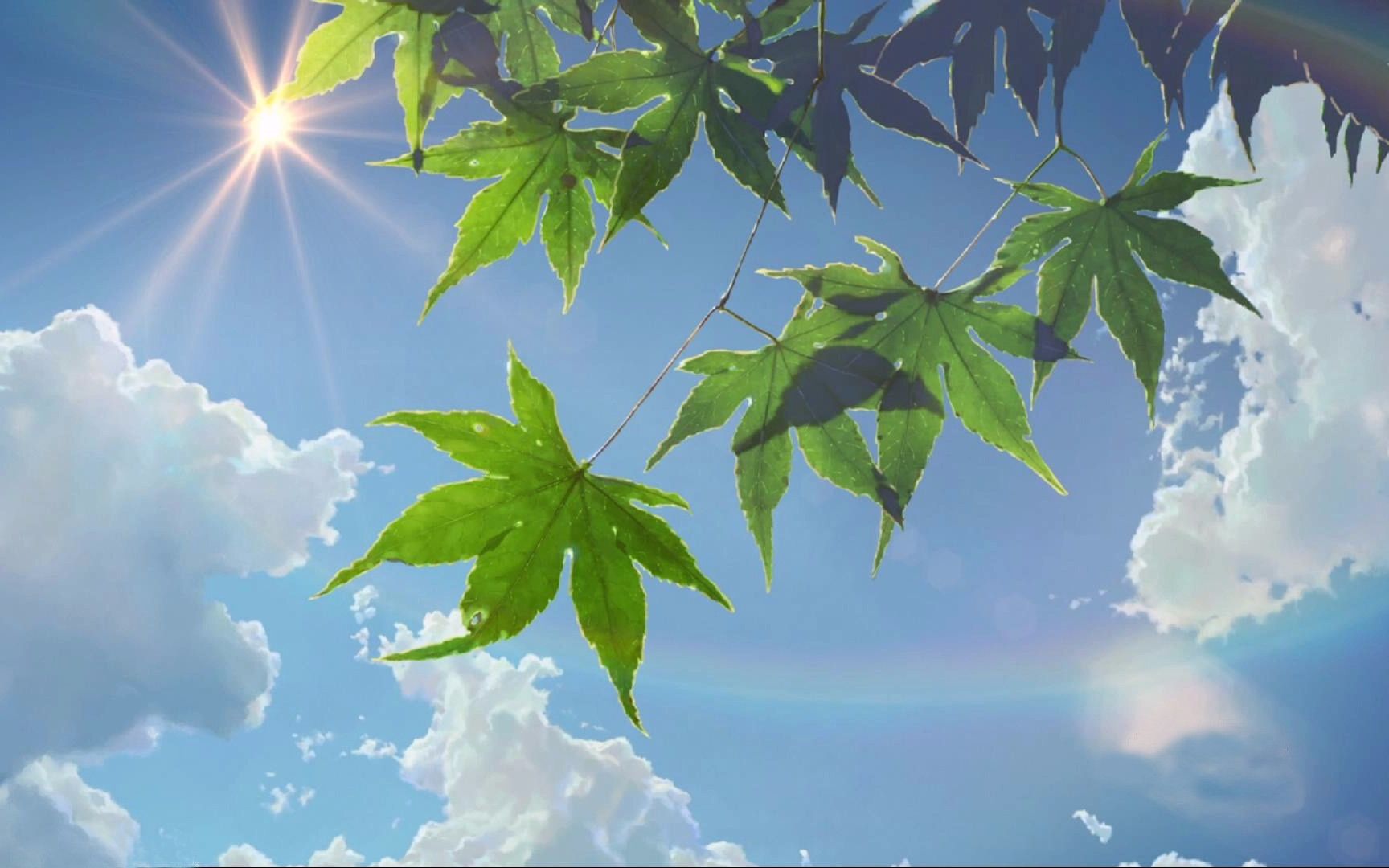 【小清新】【治愈向】阿铭 - 夏之风