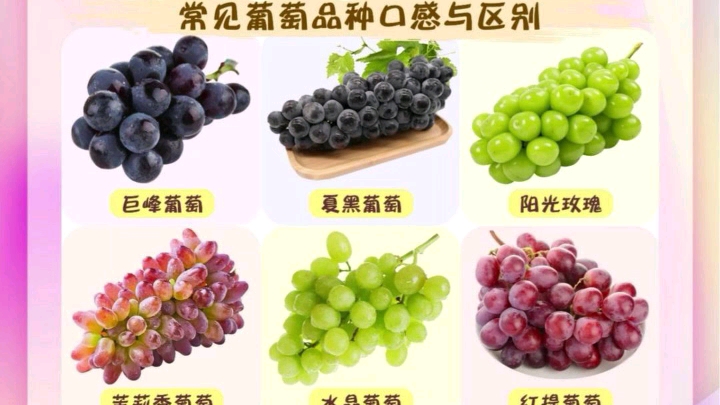 葡萄品种口感与区别