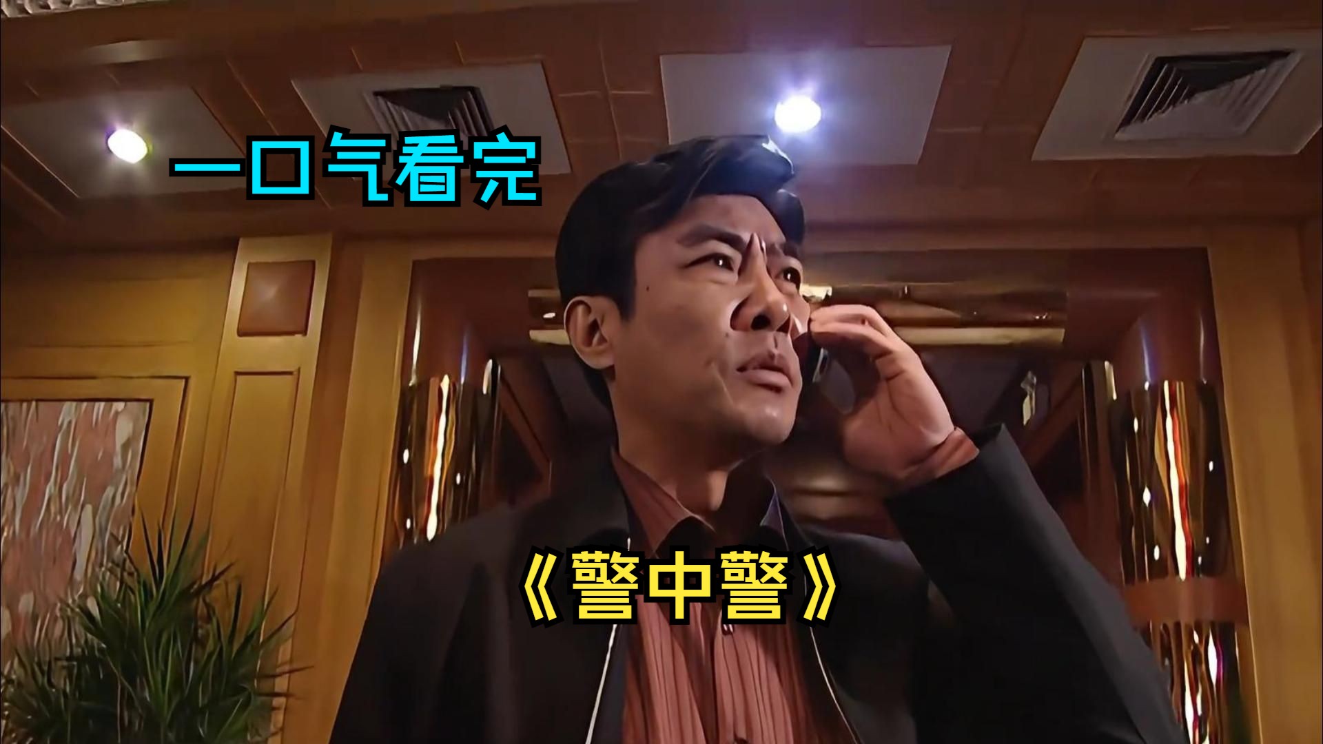 一口气看完扫黑除恶剧《警中警》，人民警察与黑恶势力之间的斗争