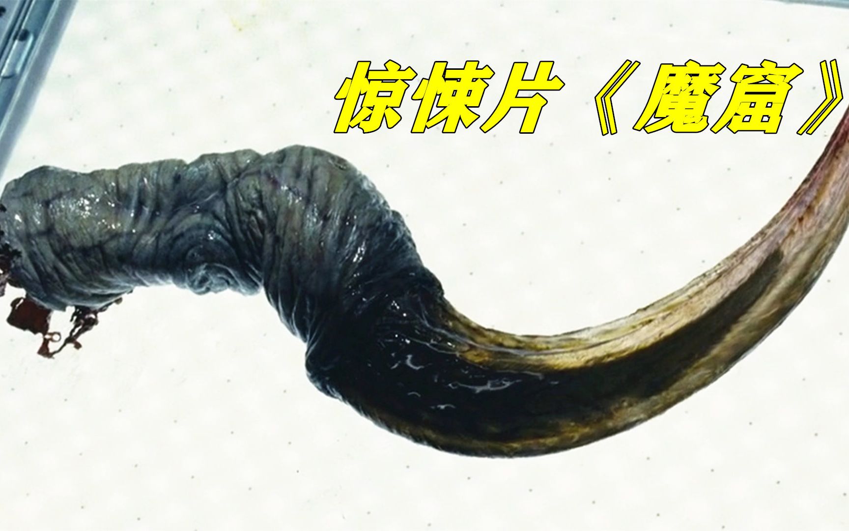 地下洞穴暗藏远古寄生虫，探险队员接连被感染，变成没有人性的怪物，惊悚恐怖片《魔窟》