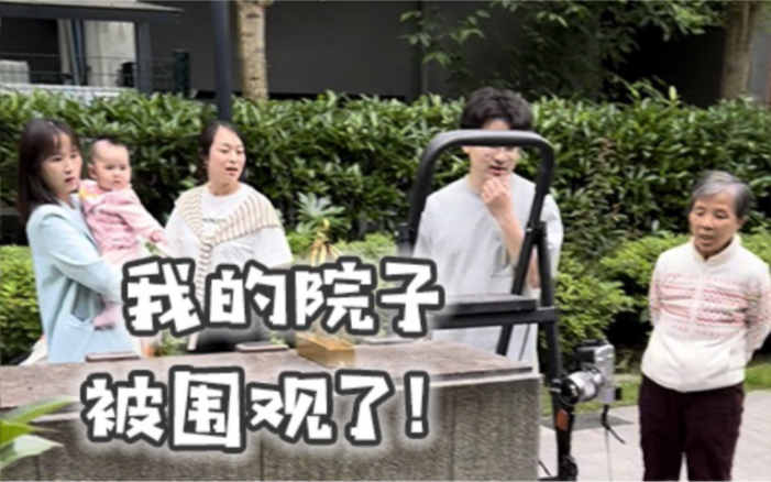 【书写自由】我的院子不仅被围观了还上了央视网！？