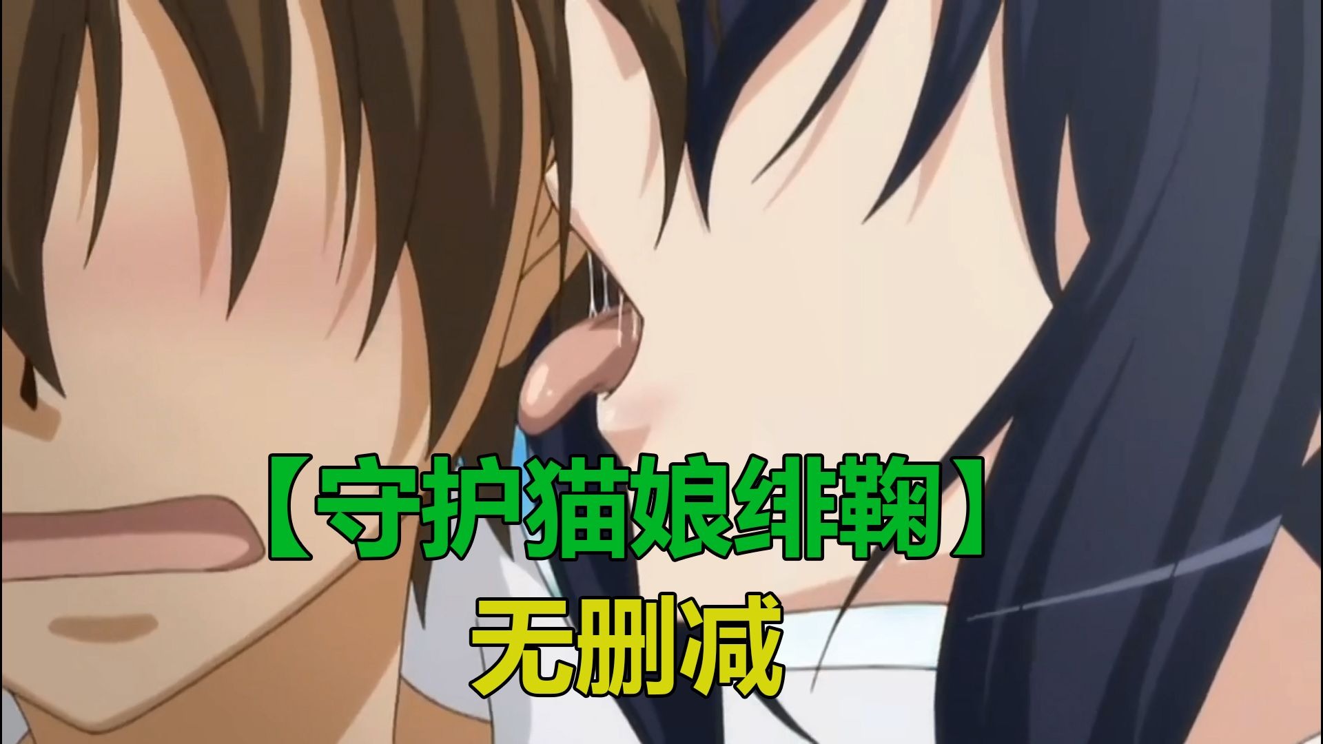 【守护猫娘绯鞠】1~12集 简体中文 4K画质 （无删减）