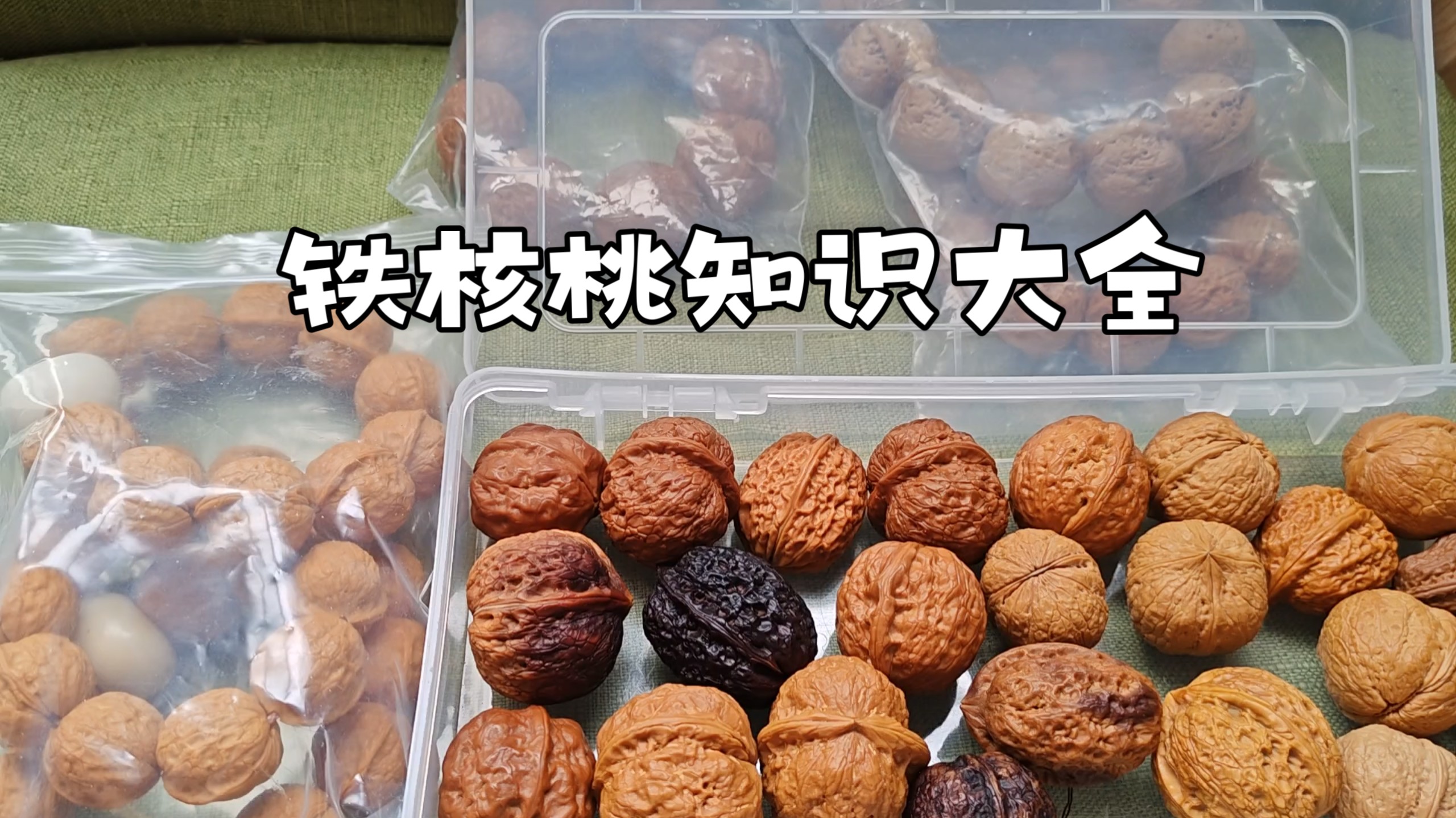 小夜夜文玩———铁核桃大全，怎么买？去哪里买？要注意什么？铁要不要奶？彩是什么？