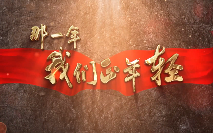 纪录片《那一年，我们正年轻》【全5集】1080P