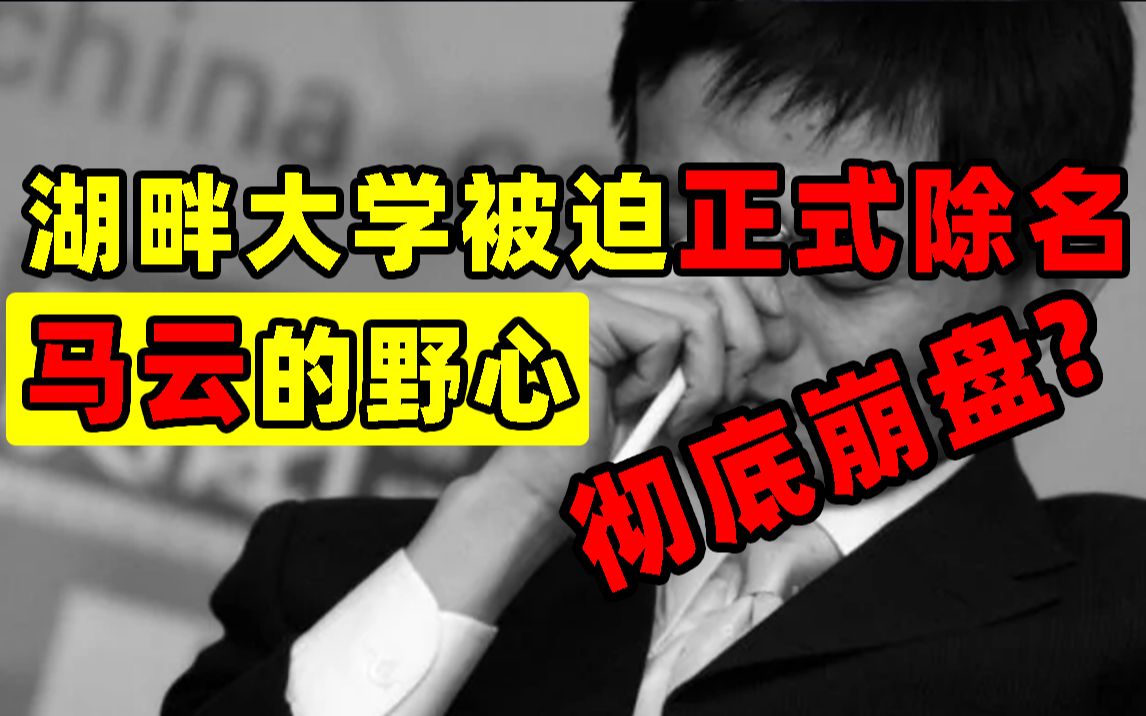马云立志办学300年的湖畔大学，被正式除名，终于敲醒了马云和当代青年人【王小七】【洞察社会系列26】