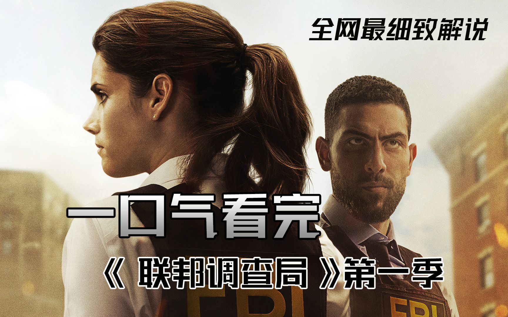 一口气看完《联邦调查局》第一季，22集完整版，一集一个大案贼下饭