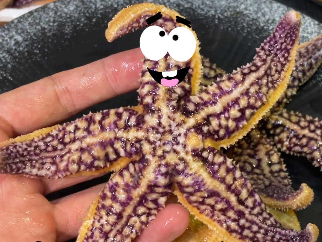 海星食用指南，吃起来竟然味道有点像蟹黄？