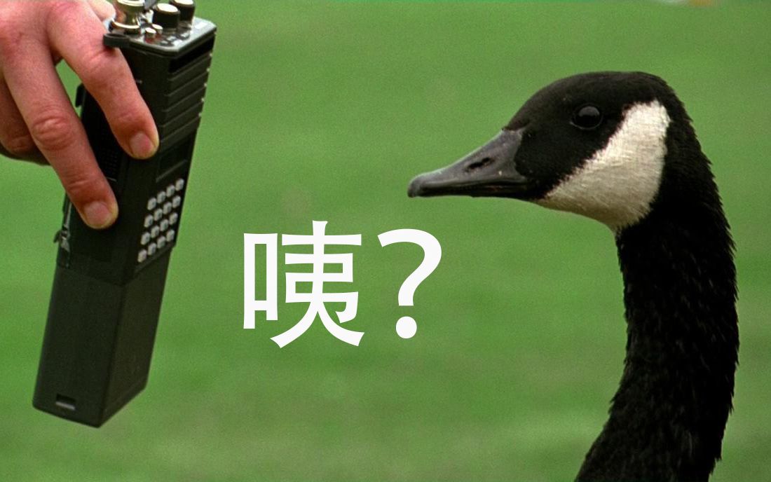 【越哥】豆瓣8.9分，光看题材就想打满分，愿意拍这类电影的“傻子”不多了！