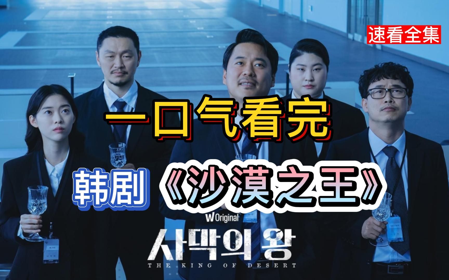 月薪600万的奇葩工作你干吗？一口气看完韩剧《沙漠之王》