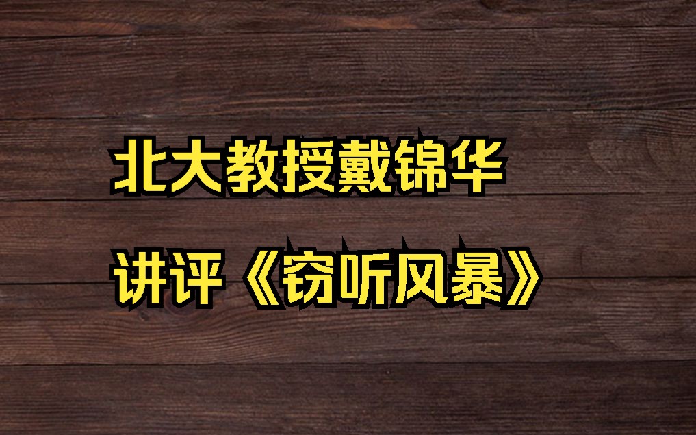 北大教授戴锦华讲评《窃听风暴》
