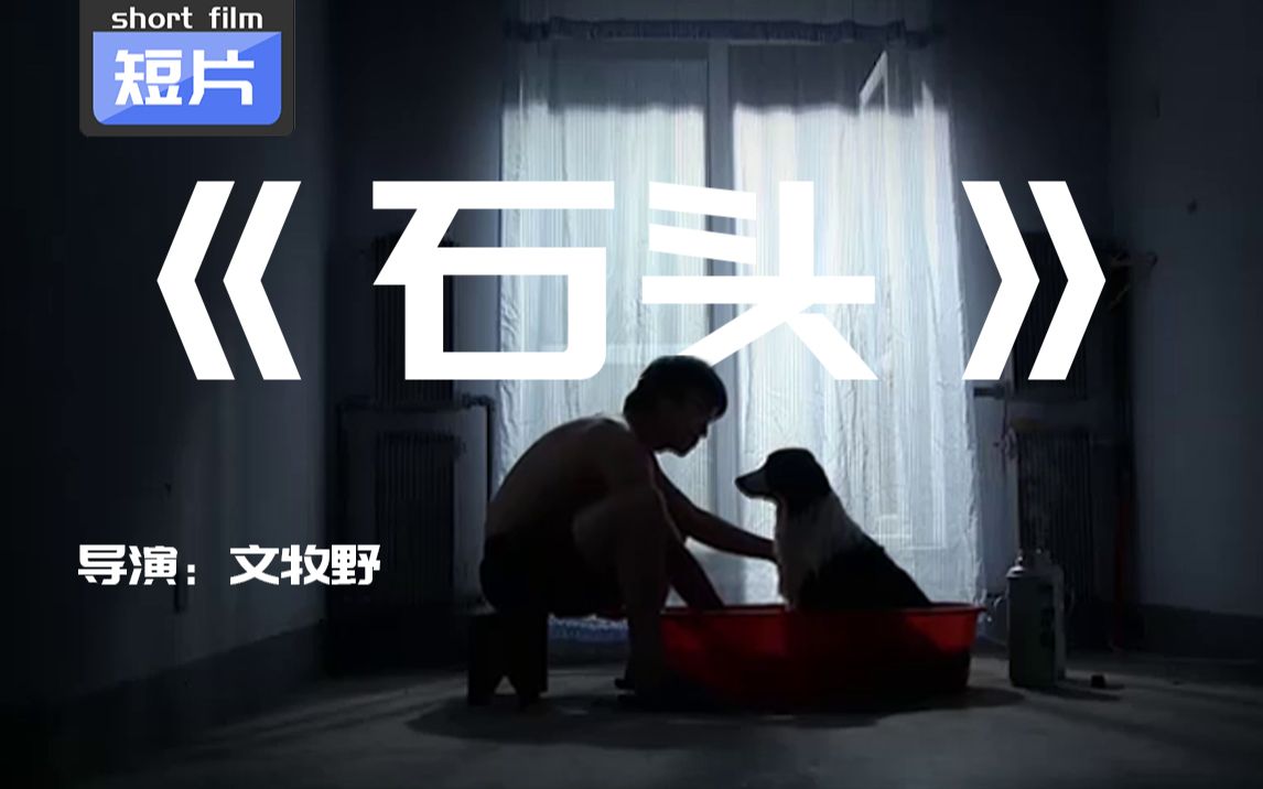 短片《石头》 —— 导演：文牧野