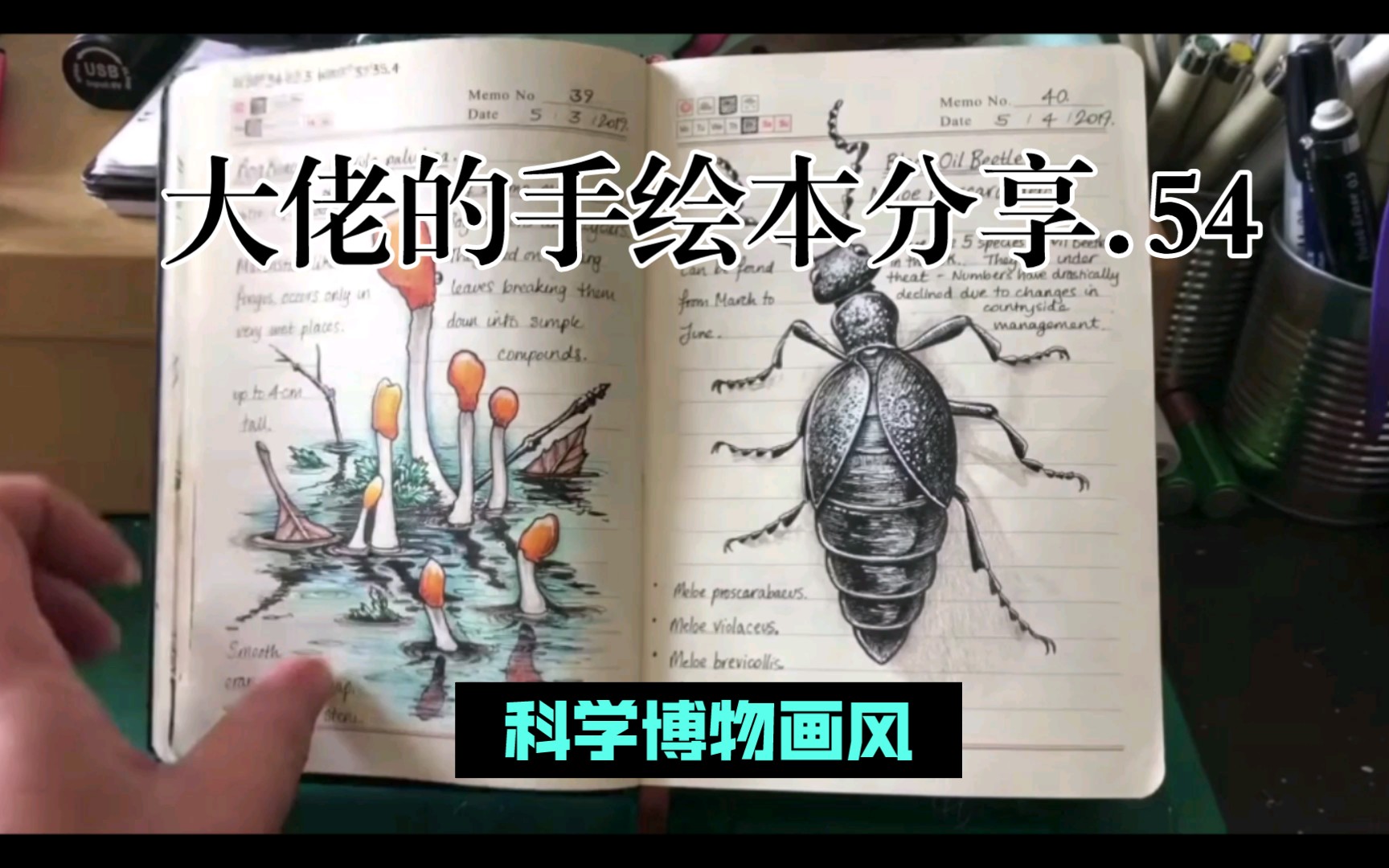 大佬的自然笔记分享.54