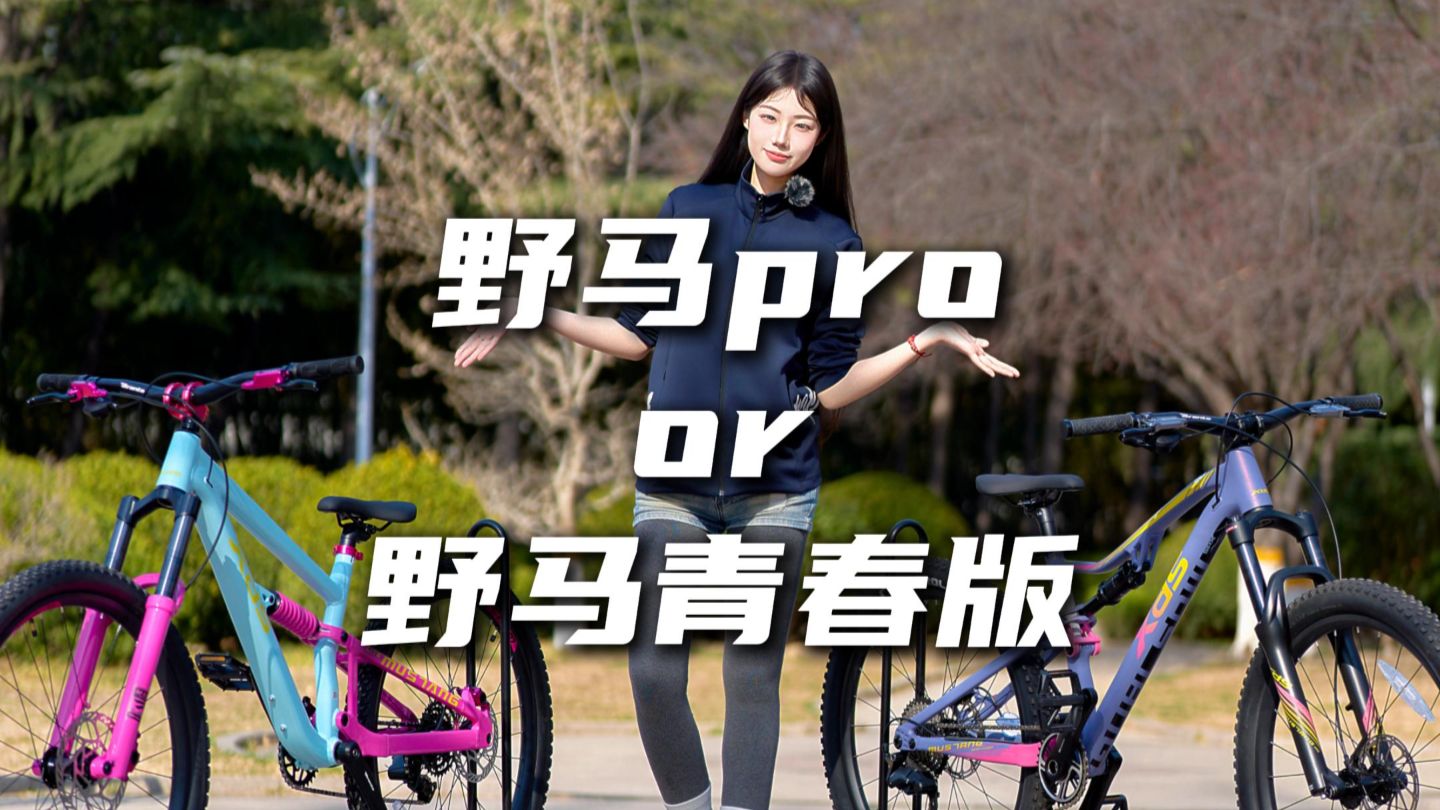 野马Pro和野马青春版有什么区别？应该怎么选择?