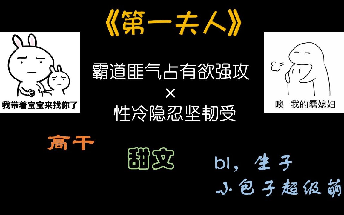 【原耽推文】《第一夫人》甜宠！温馨治愈救赎文，还有可爱的小包子！