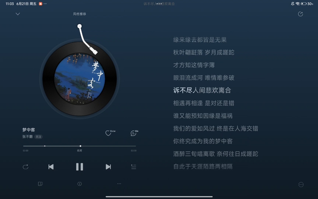《梦中客》我们的爱如风过 终是在人海交错，你终究成为我的梦中客。