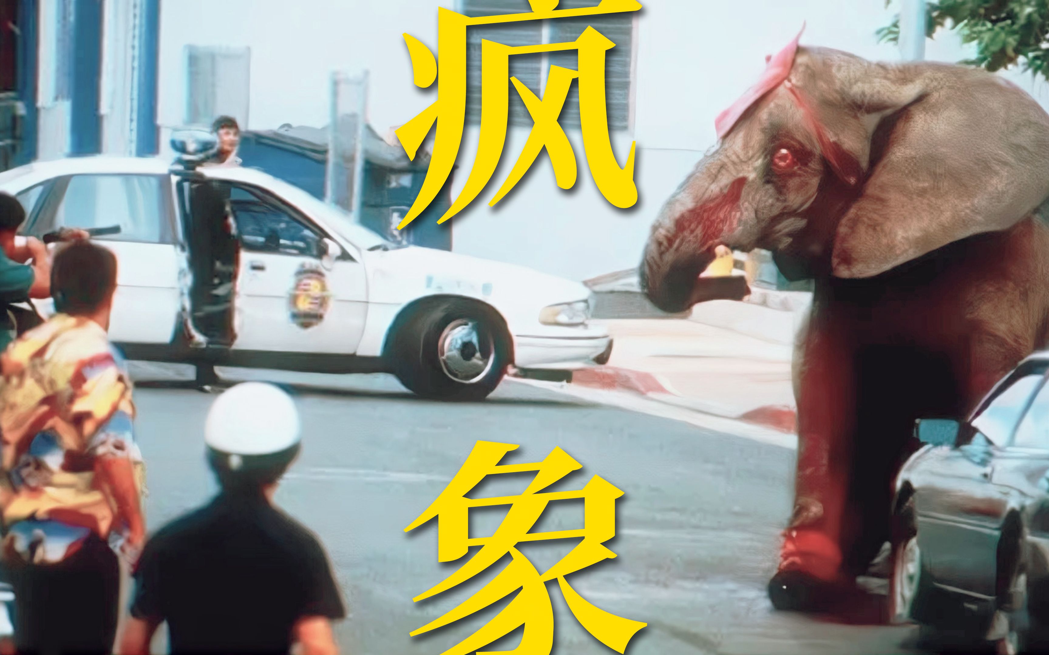 “很奇怪，我发现这头大象是没有脸的”