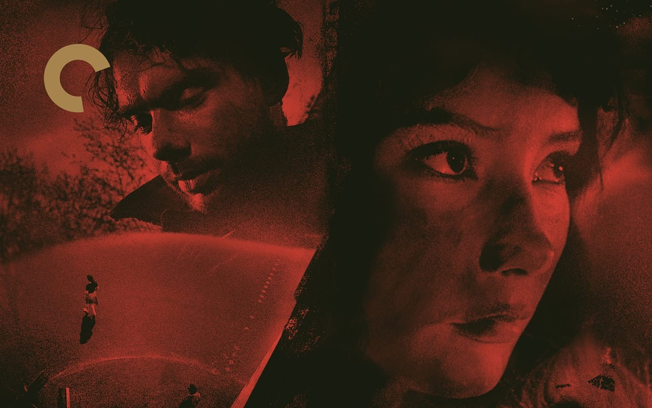 雁南飞 Летят журавли (1957) | 米哈伊尔·卡拉托佐夫 | 花絮合集