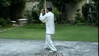 武式太极拳快拳（46式）郝少如弟子李伟明老师演练
