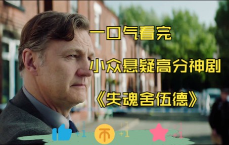 一口气看完，小众悬疑高分神剧，《失魂舍伍德》不好意思耽误您半个小时！！