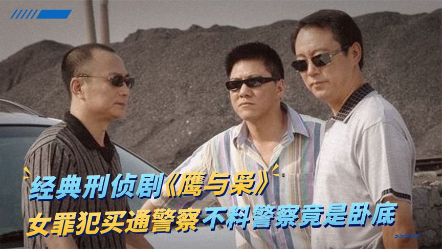 一口气看完全集系列：《鹰与枭》内鬼不知身份暴露，开会当场被抓，这下可好看了