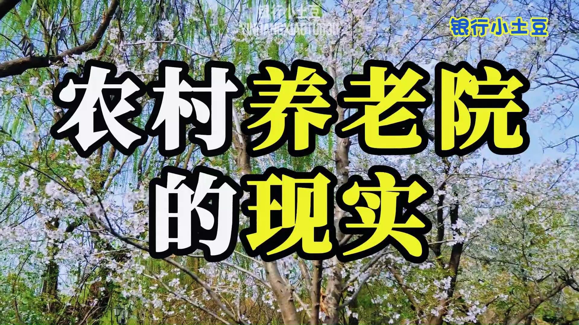 农村养老院的现实