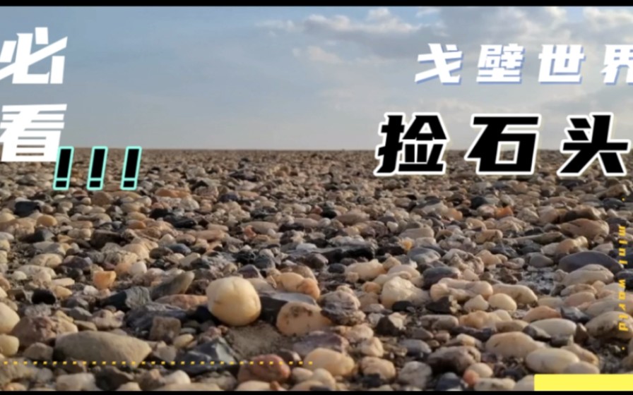 我们在新疆乌尔禾的戈壁滩上捡石头，现场分享捡石头的经验