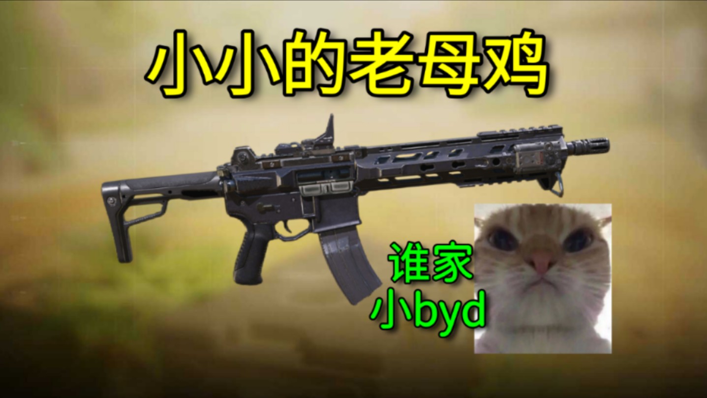 曾经的它，还是一个小小的老母鸡