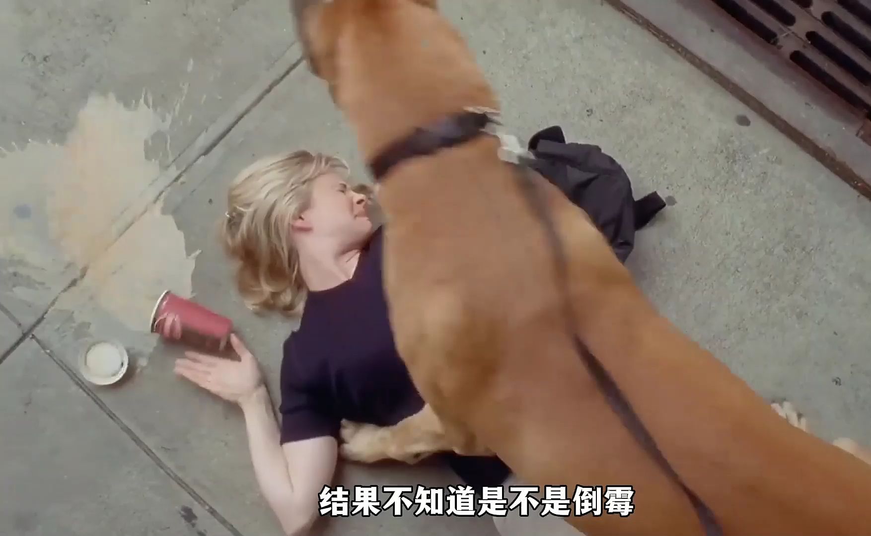 女孩被狗骑了，结果竟无可救药爱上了狗主人