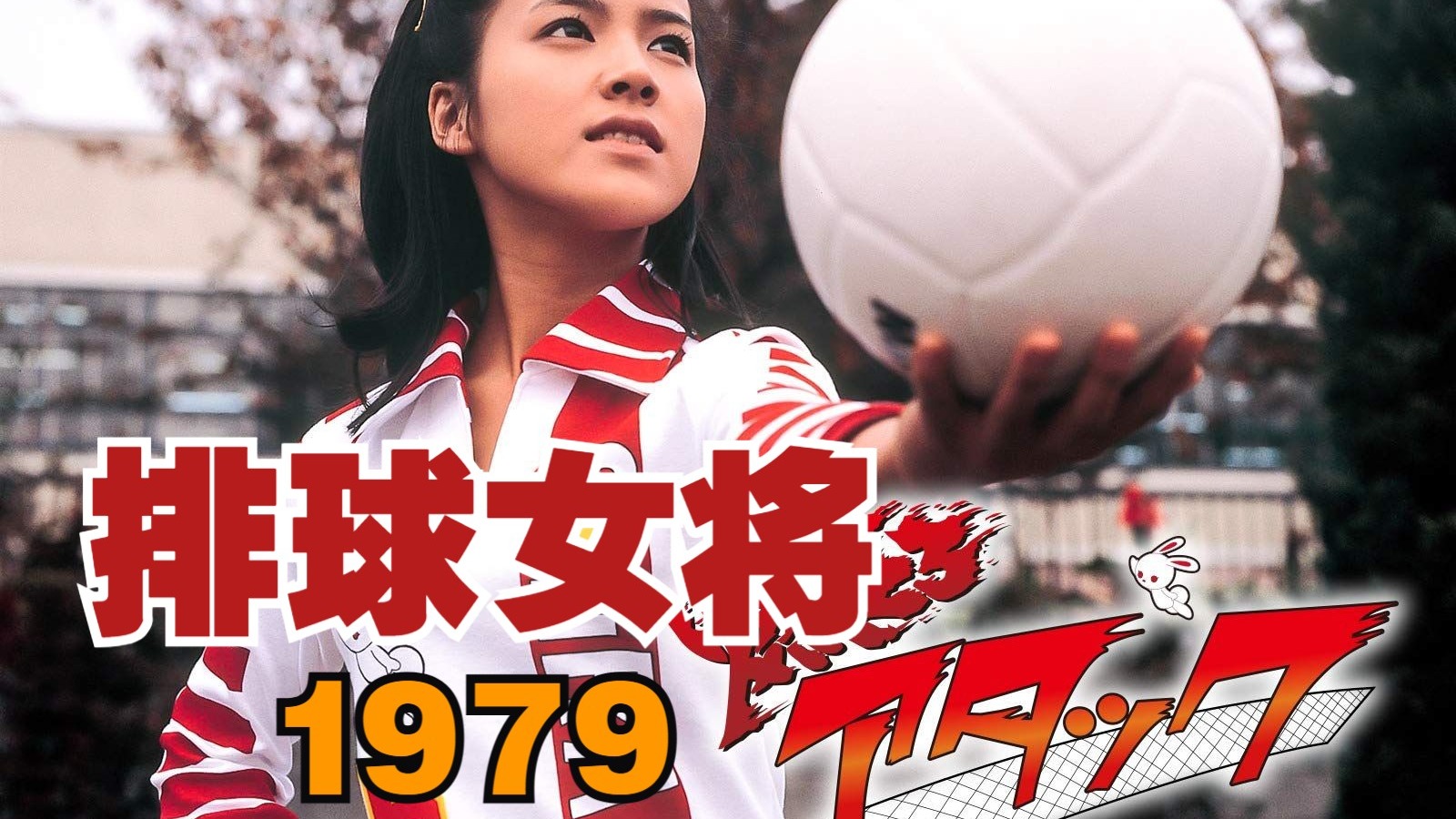 1979版排球女将国语36集全