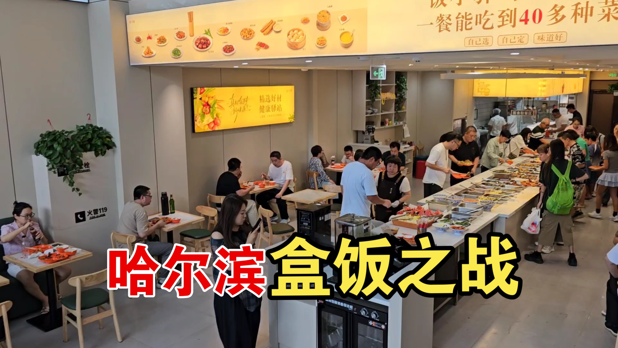 全新14元盒饭自助，挑战哈尔滨第一盒饭。