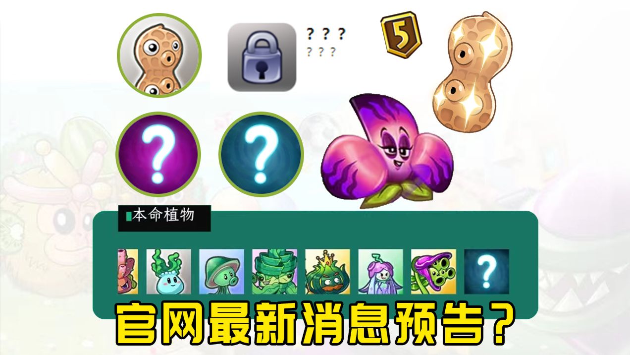 官网最新消息！5阶更新预告？海底世界本命新植物？！