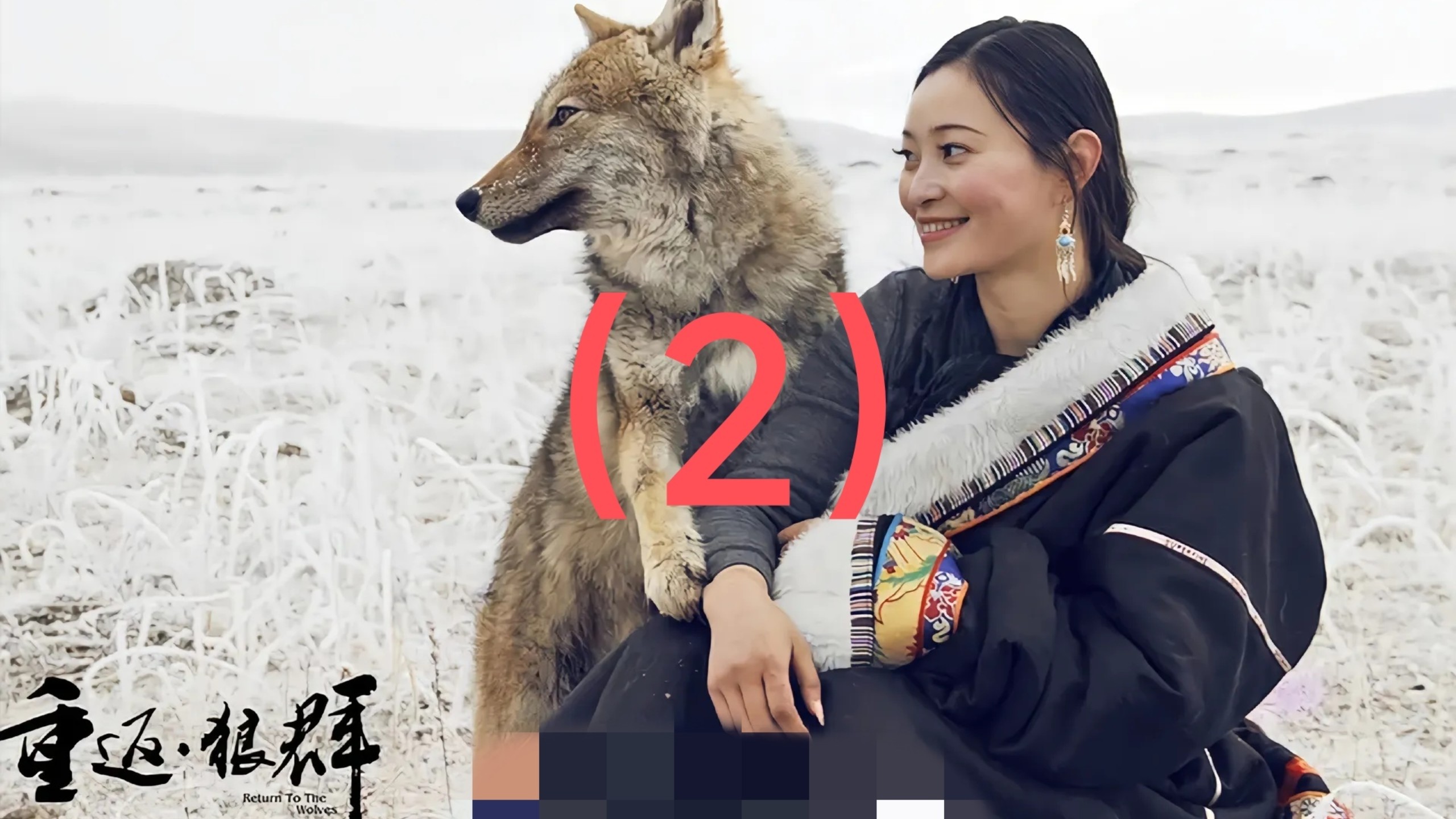 重返狼群2