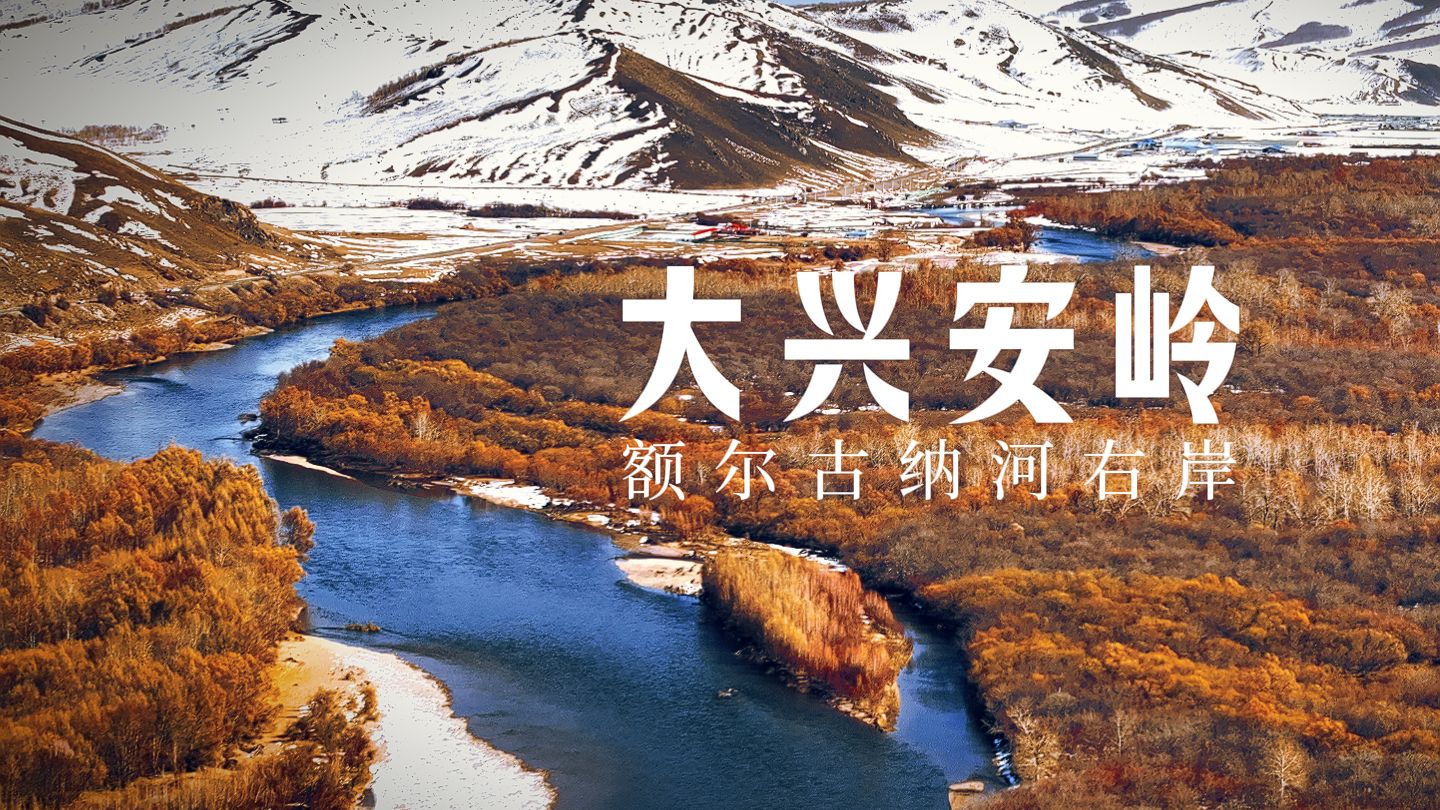 秋天，走进大兴安岭的金色世界｜4K 杜比视界