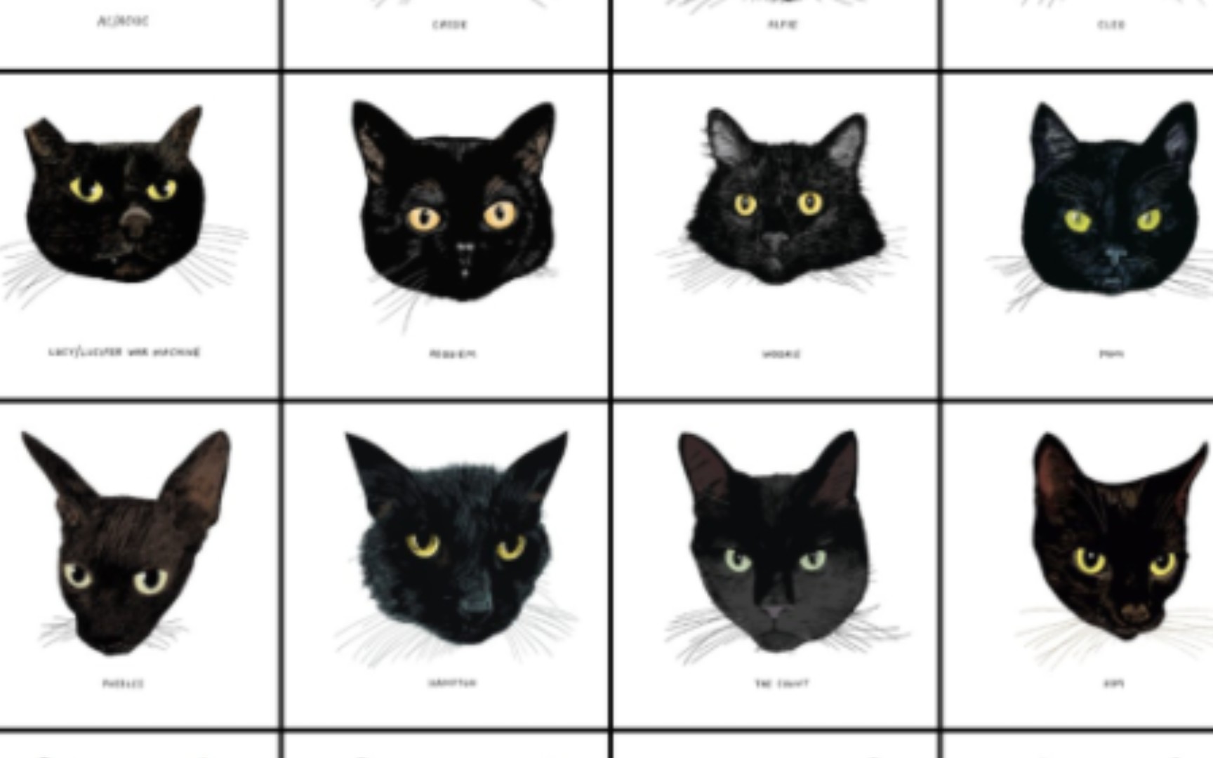 【读书】黑猫长得都一样吗！? （一本关于黑猫的书，搜集了书里的插图）