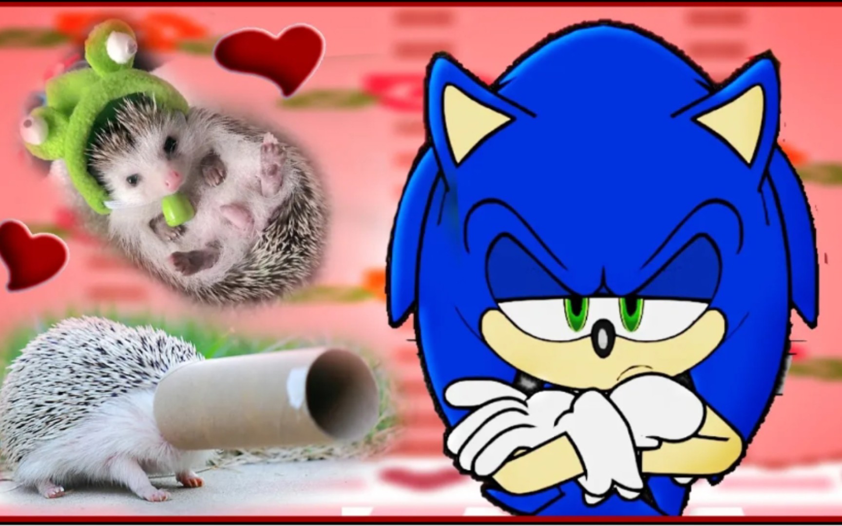 现实里养个索尼克会怎样？If Sonic The Hedgehog Was in a Cute Hedgehogs Compilation Video