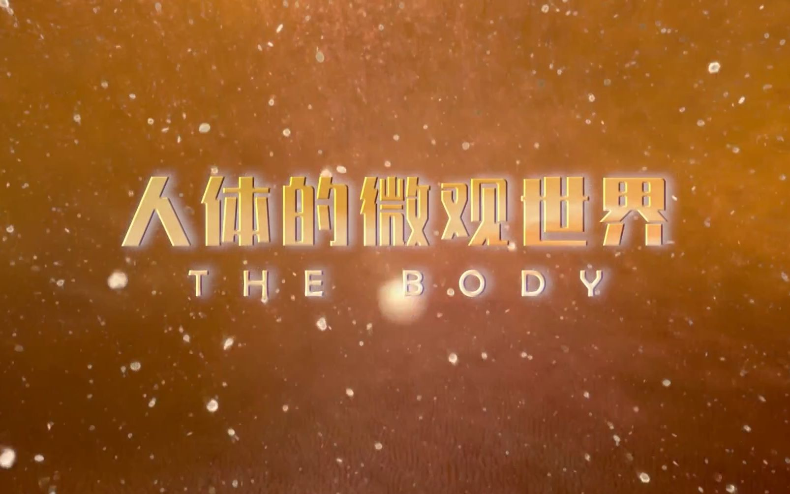 央视被吹爆的纪录片《人体的微观世界》