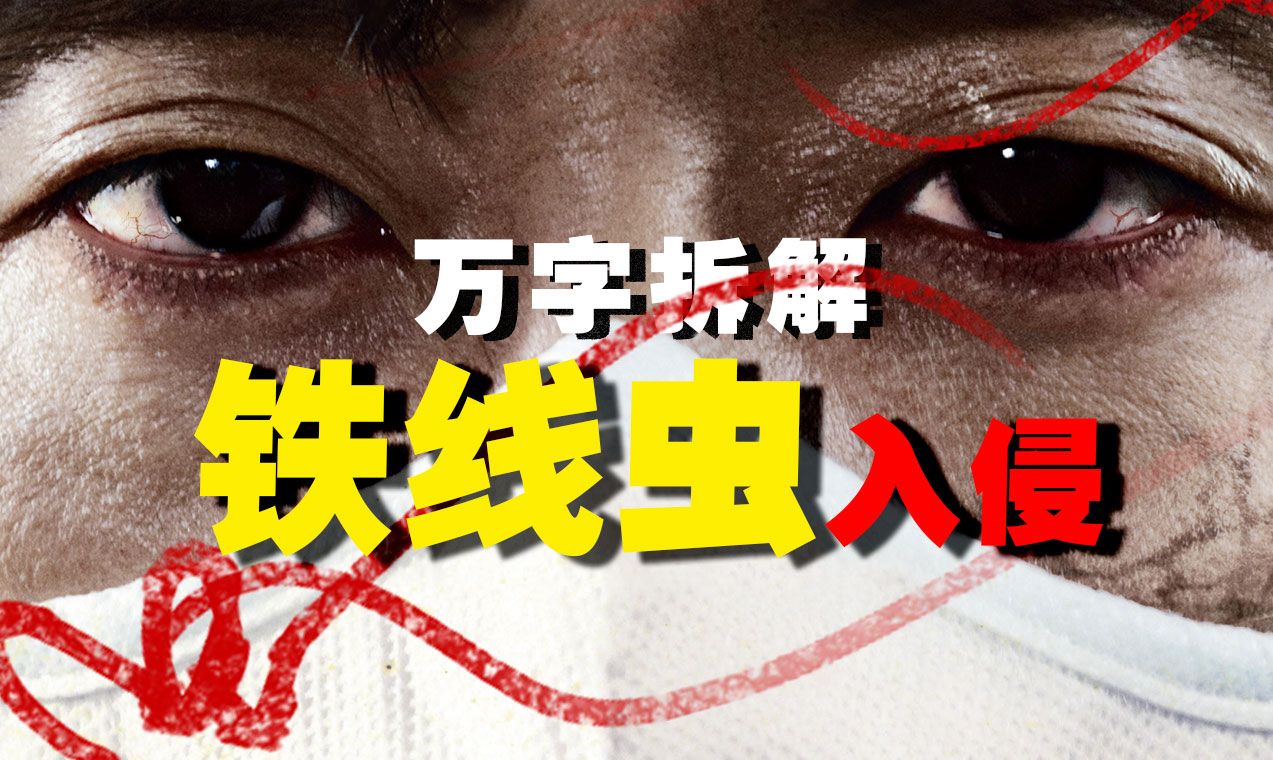 【万字拆解】汉江里面有什么？《铁线虫入侵》韩国灾难片的开化期到开花期——看完不敢下河，不敢喝水，不敢嗦粉