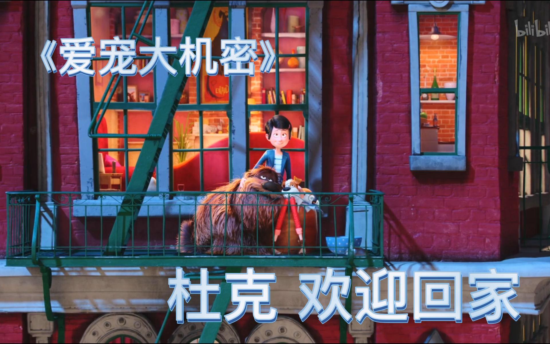 【爱宠大机密】杜克，欢迎回家