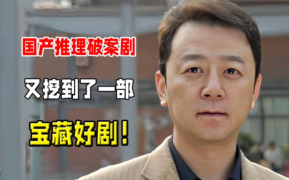20年前的宝藏破案剧，全明星出演，连龙套都是大牌明星！悬疑推理佳片《立案侦查》